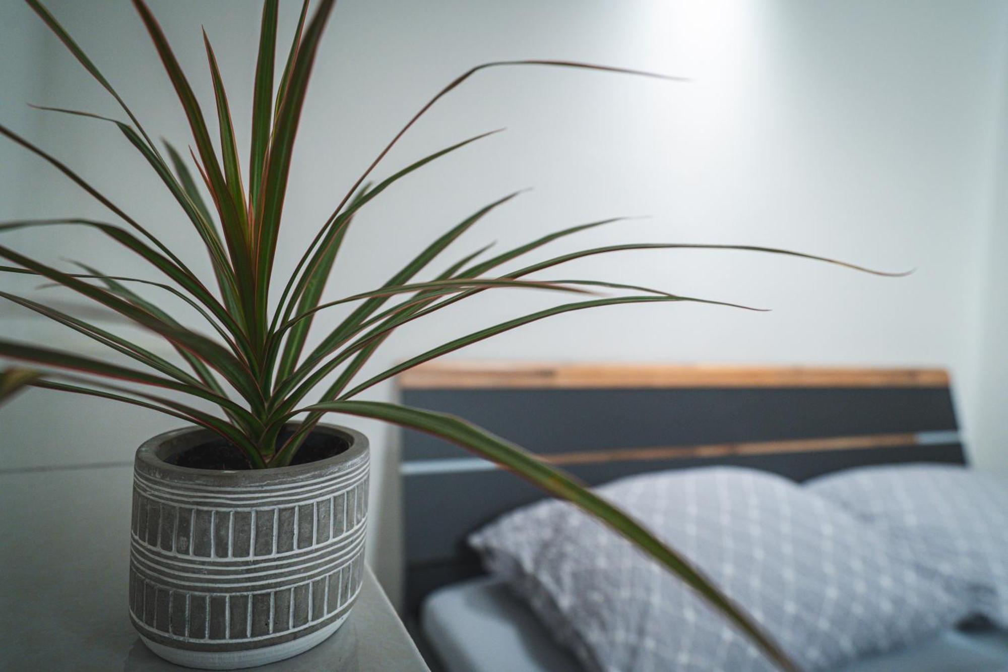 Apartmany V Podzamci Náchod Esterno foto